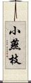 小燕枝 Scroll