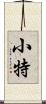 小特 Scroll