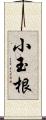 小玉根 Scroll