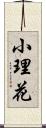 小理花 Scroll