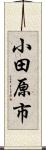 小田原市 Scroll