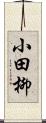 小田柳 Scroll