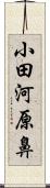 小田河原鼻 Scroll
