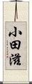 小田滋 Scroll