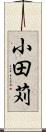 小田苅 Scroll