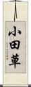 小田草 Scroll