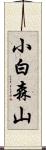 小白森山 Scroll