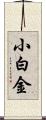 小白金 Scroll