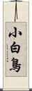 小白鳥 Scroll