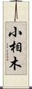 小相木 Scroll