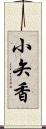 小矢香 Scroll