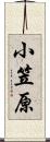 小笠原 Scroll