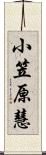 小笠原慧 Scroll