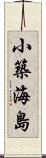 小築海島 Scroll