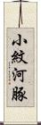 小紋河豚 Scroll