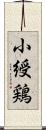小綬鶏 Scroll