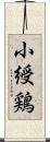 小綬鶏 Scroll