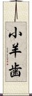 小羊歯 Scroll