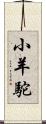 小羊駝 Scroll