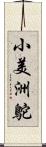 小美洲鴕 Scroll