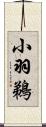 小羽鵜 Scroll