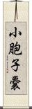 小胞子嚢 Scroll