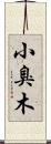 小臭木 Scroll