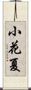 小花夏 Scroll