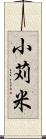 小苅米 Scroll