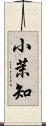 小茉知 Scroll