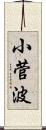 小菅波 Scroll