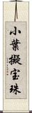 小葉擬宝珠 Scroll