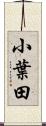 小葉田 Scroll
