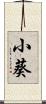 小葵 Scroll