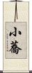 小蕎 Scroll