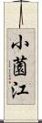 小薗江 Scroll