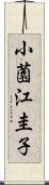 小薗江圭子 Scroll