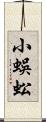 小蜈蚣 Scroll