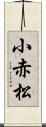 小赤松 Scroll