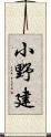 小野建 Scroll