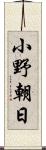 小野朝日 Scroll