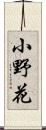 小野花 Scroll