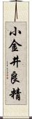小金井良精 Scroll