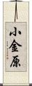 小金原 Scroll
