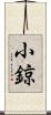 小鍄 Scroll