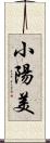 小陽美 Scroll