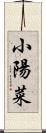 小陽菜 Scroll