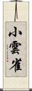 小雲雀 Scroll