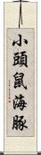 小頭鼠海豚 Scroll