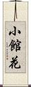 小館花 Scroll